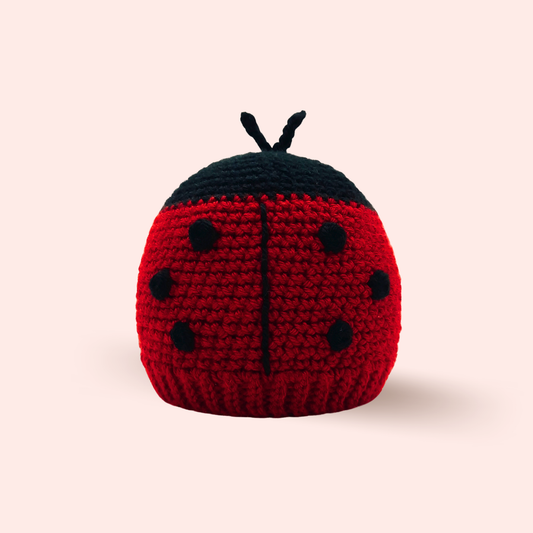 Crochet Ladybug Hat Pattern